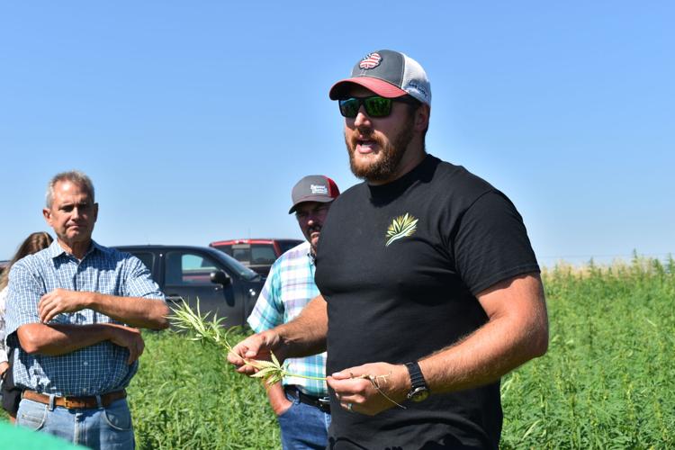 Hemp Field Day (31).JPG