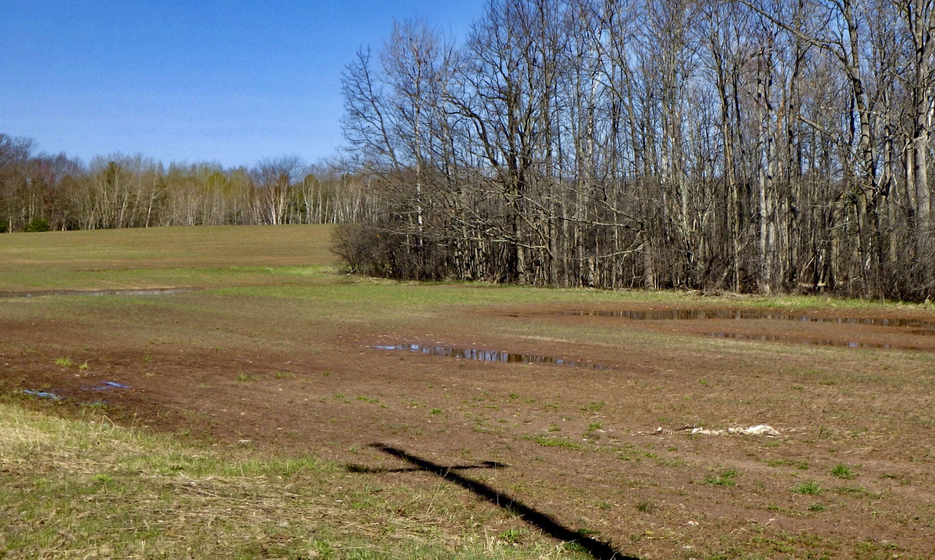Water in field