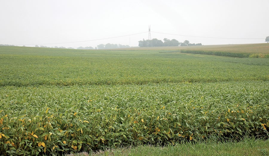 Illinois land values stable to start 2020