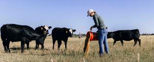 Targeted grazing 1.jpg