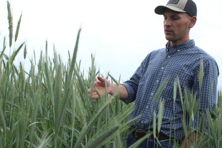 Dairy Nutrition (87).JPG