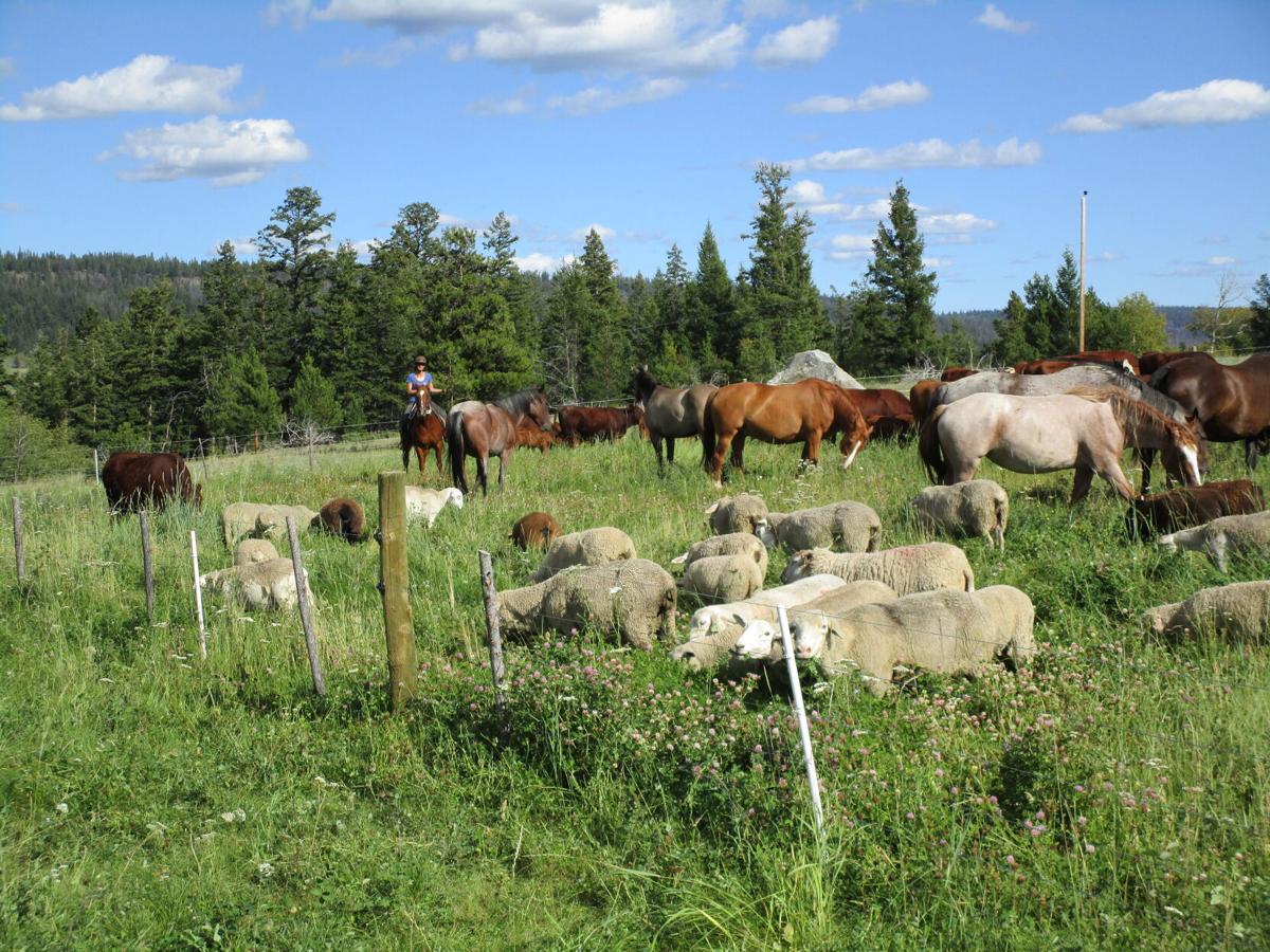 Grazing talk 2.jpg