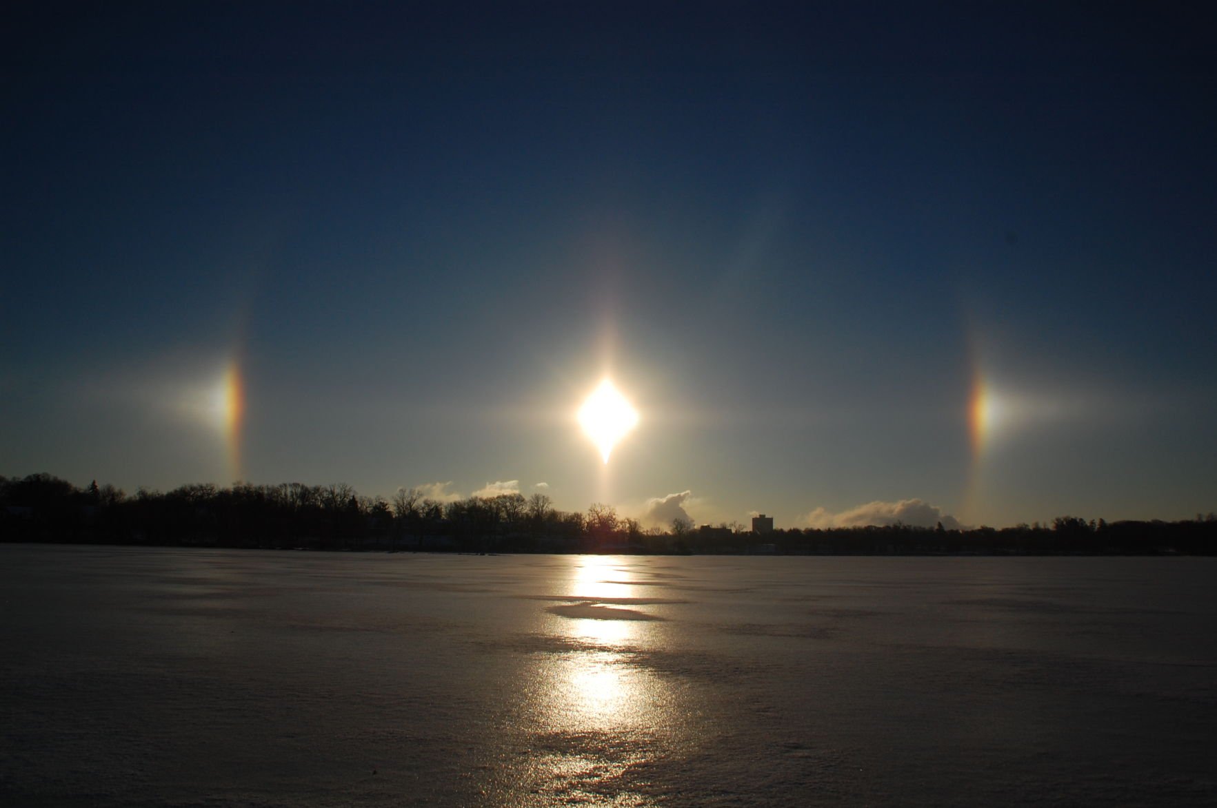 sundogs 人気 ベスト