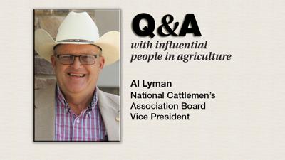 Q & A Al Lyman