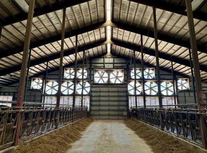 Modern dairy barn interior