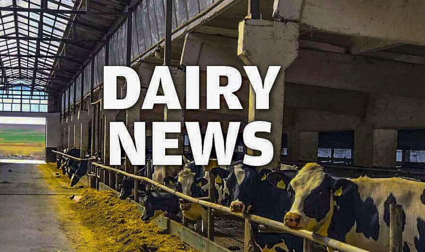 Dairy News logo graphic version 1