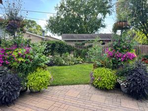 Charlie Elhard's lawn