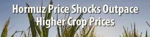 Hormuz price shocks