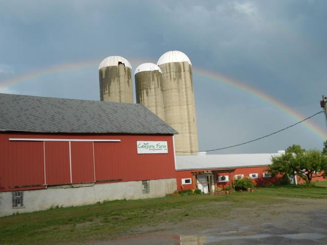 Oil processing facility in barn