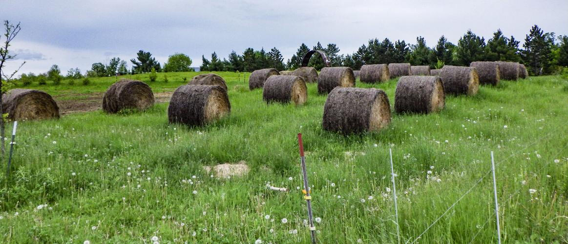 Hay bales