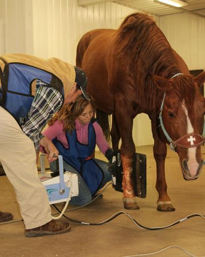 Demand for veterinary technicians increasing