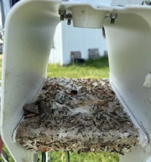 Internal view of AURA trap