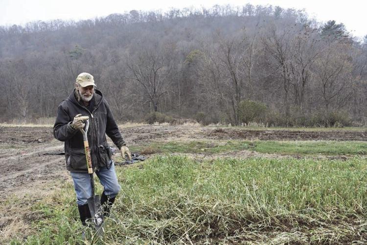 Richard de Wilde walks in cover crop
