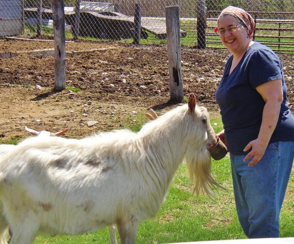 Darlene feeds goat