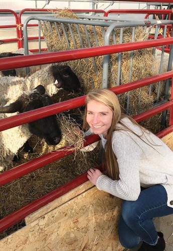 Audrey Pelikan with sheep