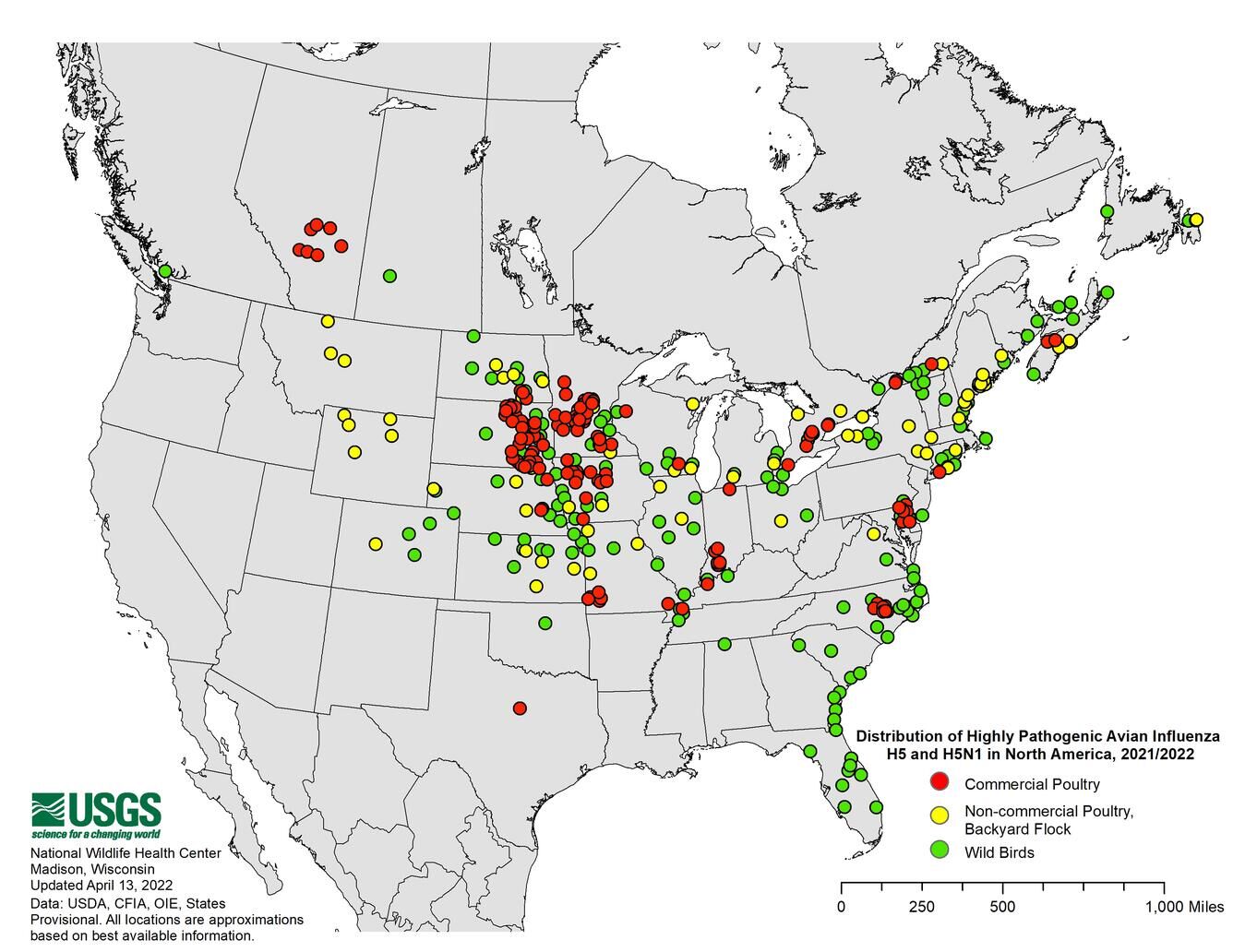 Distribution Of Highly Pathogenic Avian Influenza