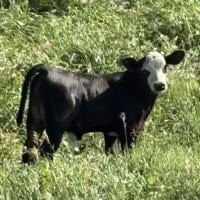 Drought breaks in southeastern Nebraska