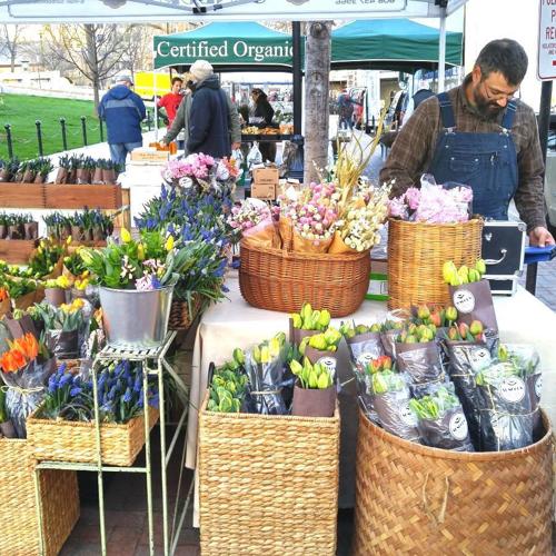 Hans Larsen at farmers market