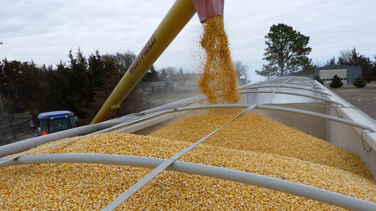 Grain loading market plan