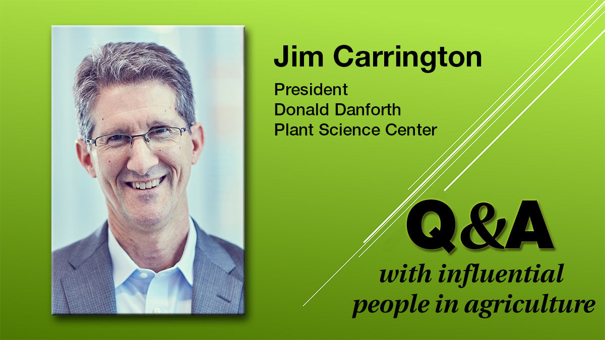 Q & A Jim Carrington