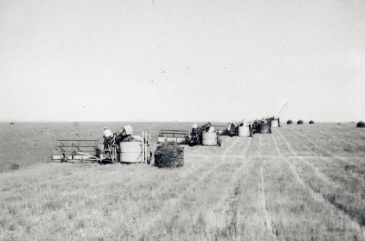 1940s hay bales