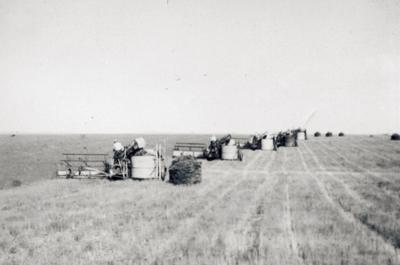 1940s hay bales