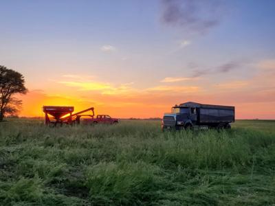 Photo contest winner