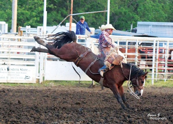 Gibson Rodeo Hoot Gibson Rodeo on hold