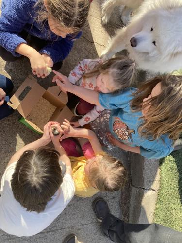 Chicks on tour (63).JPG