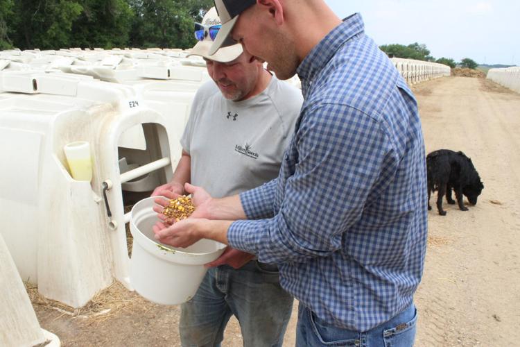 Dairy Nutrition (31).JPG