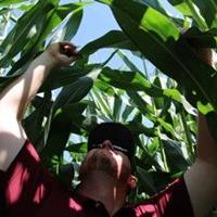 Southern rust: Fact versus fiction