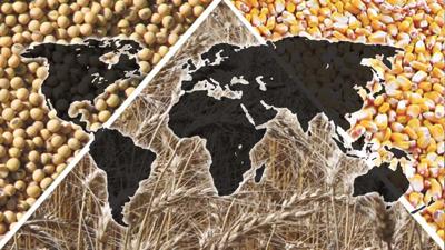 Corn-and-beans-wheat-with-world-map