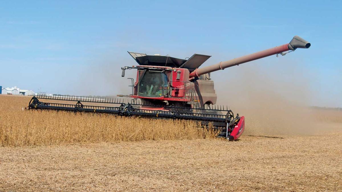 Adam Gwillim combines soybeans