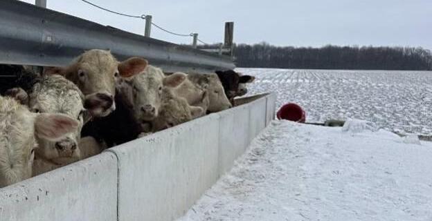 Farm covered in snow