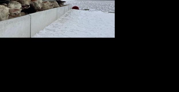 Farm covered in snow