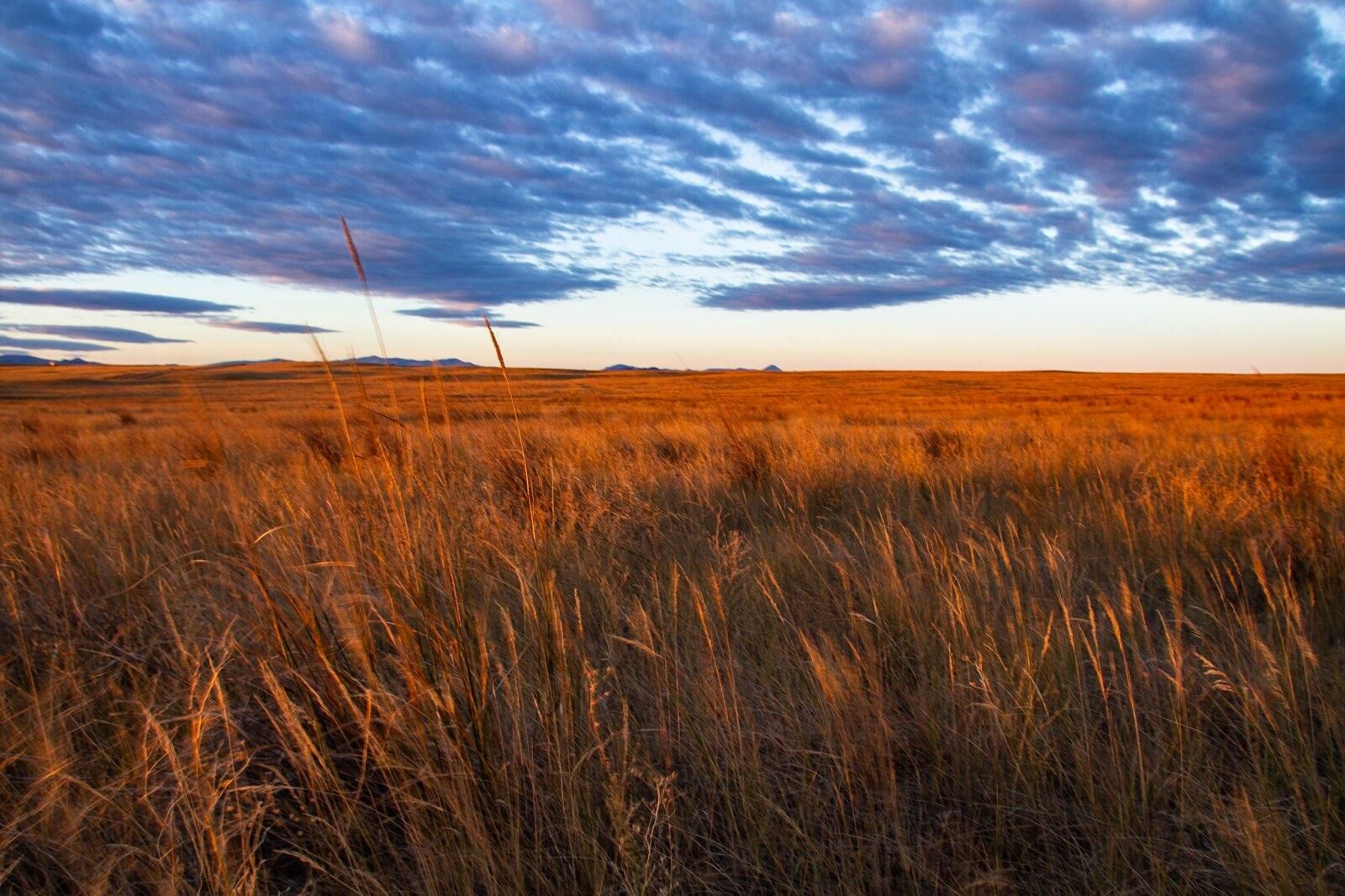 CRP informational meetings planned across Nebraska