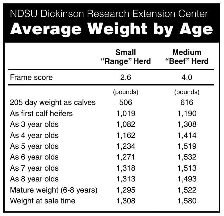 Human Weight Chart According To Age