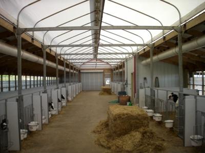 calf barn ventilation