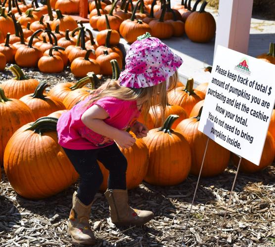 Delia Borton spies pumpkin sign