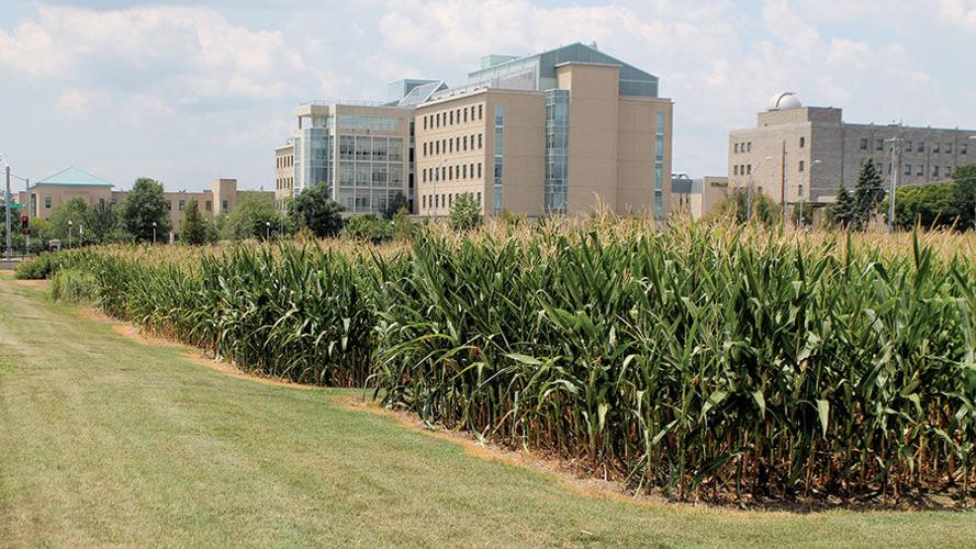 University of Missouri’s Sanborn Field