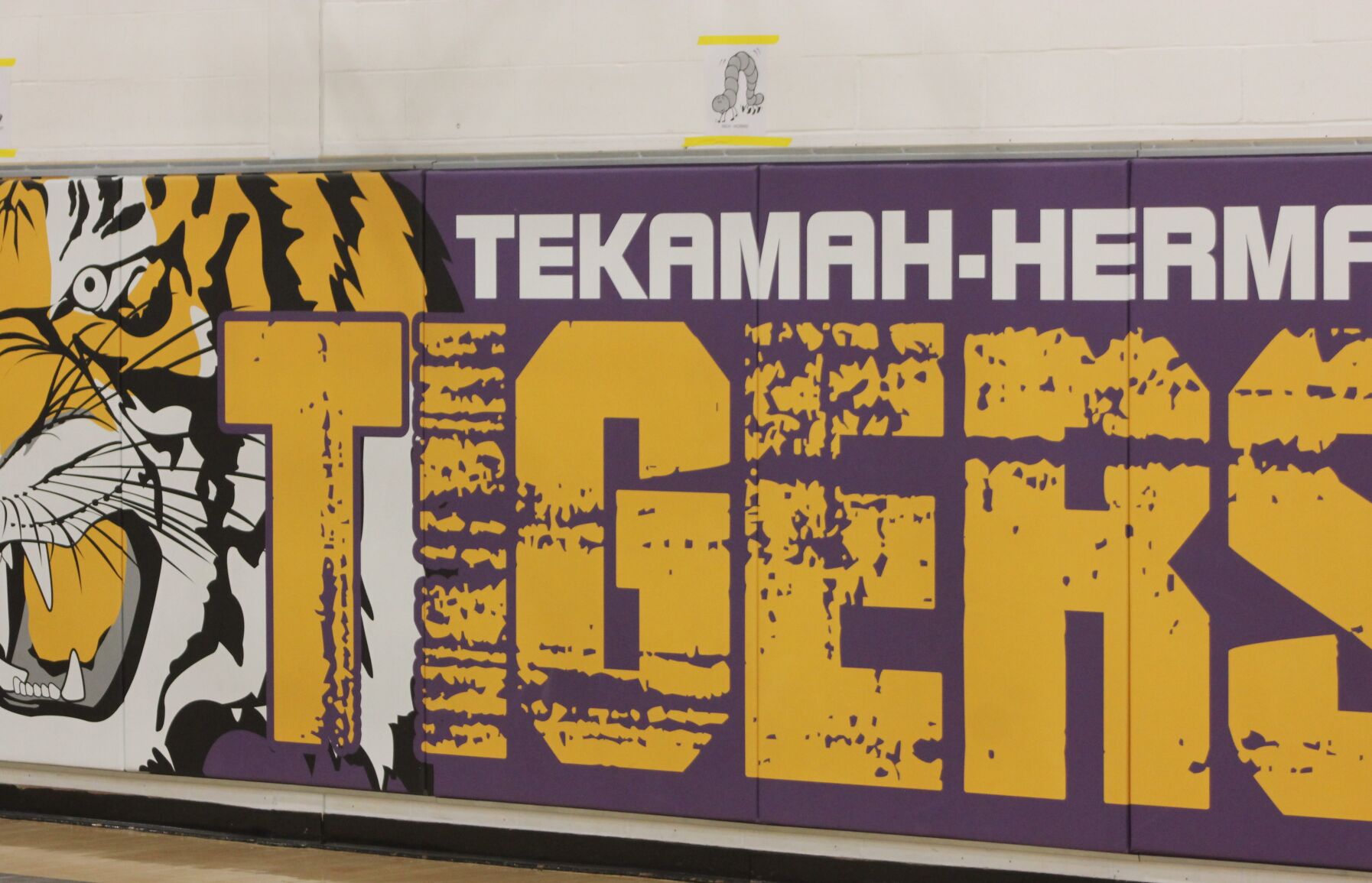 Tiger hoop squads wrap up pre-Christmas slate