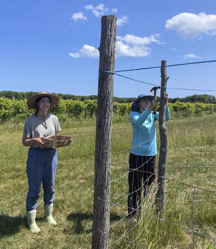 Isabelle Koo and Claire Knutsen build fence