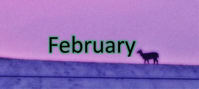 February calendar image 2