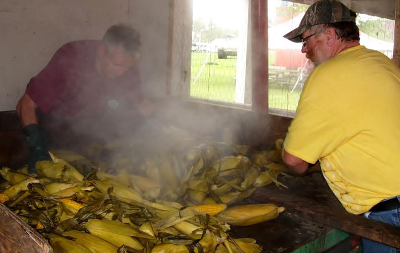 Corn fed onto conveyor