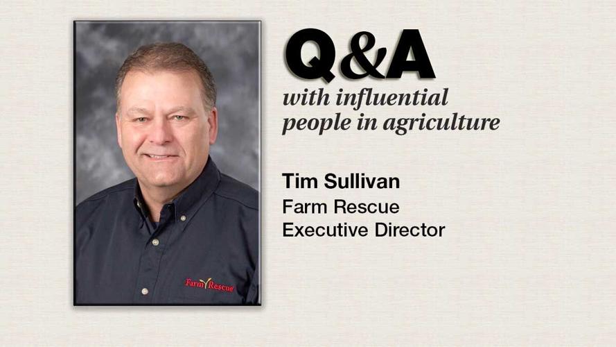 Q-&-A-Tim-Sullivan