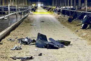 Damaged dairy barn