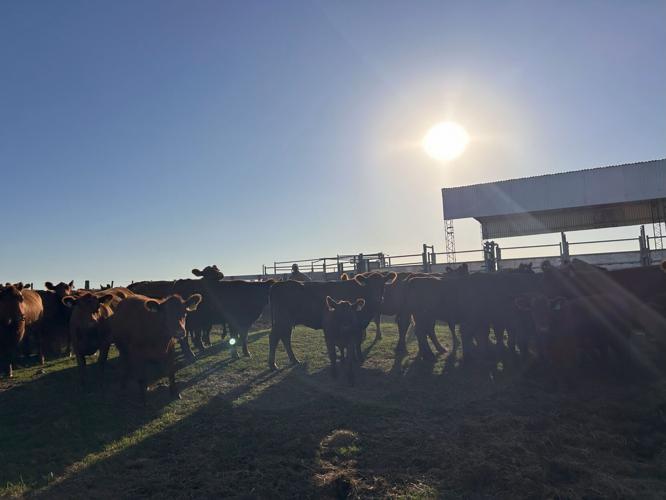 Argentina salebarn 3.jpg