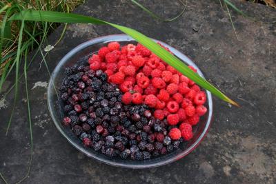 Berries
