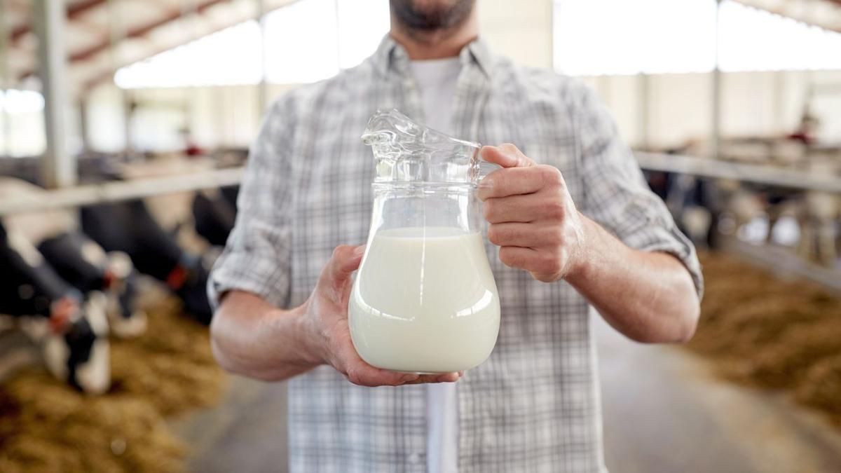 Should Montana milk labeling be updated?