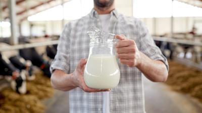 Should Montana milk labeling be updated?